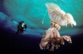 /album/fotogaleria/a12-jpg/